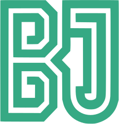 BinaryJunction Logo